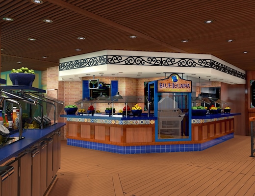 Image Carnival Vista 9