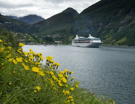 Image Vision of the Seas 16