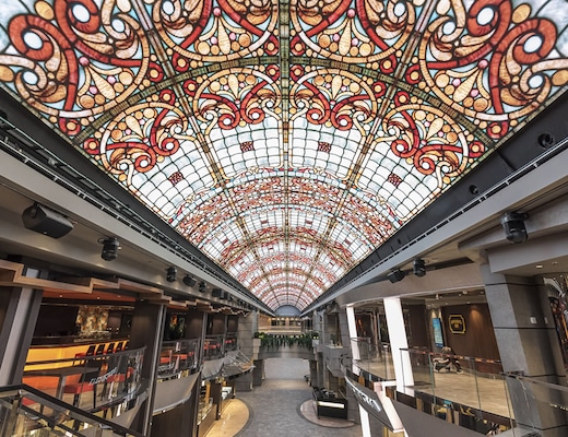 Image MSC Meraviglia 50