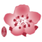 CHINA AIRLINES vols CI