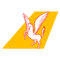 PEGASUS AIRLINES vols PC