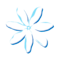 AIR TAHITI NUI vols TN