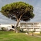 Parador De Mazagon Huelva - map