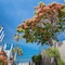 Los Olivos Beach Resort - map