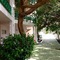 Apartamentos Hsa Ficus - map