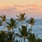 Iberostar Waves Dominicana - map