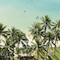 Park Shore Waikiki - map