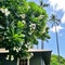 Waimea Plantation Cottages, a Coast Resort - map