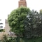 Culture Hotel Villa Capodimonte - map