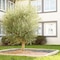 Hotel The Originals Tours Nord La Terrasse - map