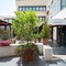 Magris Hotel - map