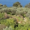 Relais Regina Giovanna - map