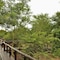 Shishangeni Lodge, Kruger National Park - map