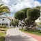 Hotel Palia Dolce Farniente - map