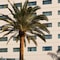 Novotel Casablanca City Center - map
