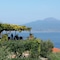 Grand Hotel Capodimonte - map