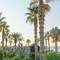 Ikaros Beach Luxury Resort & Spa - map