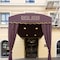 Hotel Bijou - map