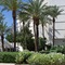 King Solomon Hotel Tiberias - map