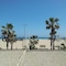 Hotel Sol Playa - map