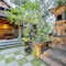 De Munut Balinese Resort & Spa - map