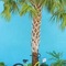 Lexington Hotel Key West - map