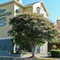 Homewood Suites By Hilton San Antonio-Northwest - map