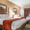 Comfort Suites Milwaukee Airport - map