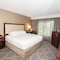 Doubletree Suites By Hilton At The Battery Atlanta - map