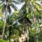 Sea Star Resort Phu Quoc - map