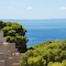 Bluesun Hotel Soline - map