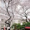 The Prince Sakura Tower Tokyo, Autograph Collection - map