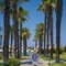 Neptune Luxury Resort - map