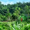 Okinawa Marriott Resort & Spa - map