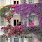 The Winchester Hotel By Newmark - map