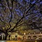 Itc Windsor, A Luxury Collection Hotel, Bengaluru - map