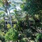 Hibiscus Boutique Hotel - map