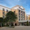 Springhill Suites By Marriott Dallas Addison Quorum Drive - map