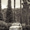 Four Seasons Residence Club Aviara, North San Diego - map