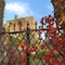 Bickleigh Castle Hotel - map