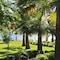 Villa Augusto Boutique Hotel - Boutique Class - map