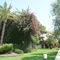 Club Boran Mare Beach - All Inclusive - map