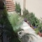 Il Giardino Segreto - map