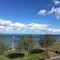 The Downs Babbacombe - map