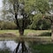 Adonis Arles By Olydea - map