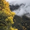Hotel Jungfraublick Wengen - map