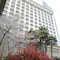 Maritim Hotel Taicang Garden - map