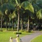 Jw Marriott Sanya Haitang Bay Resort & Spa - map