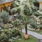 Garden Boutique Hotel Berlin - Mitte - map