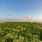 The Landmark Of Cozumel - map